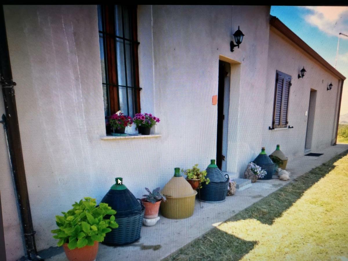 Su Cuile Historical Country House With Barbecue Martis ภายนอก รูปภาพ